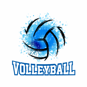Volleyball Score Keeper artwork